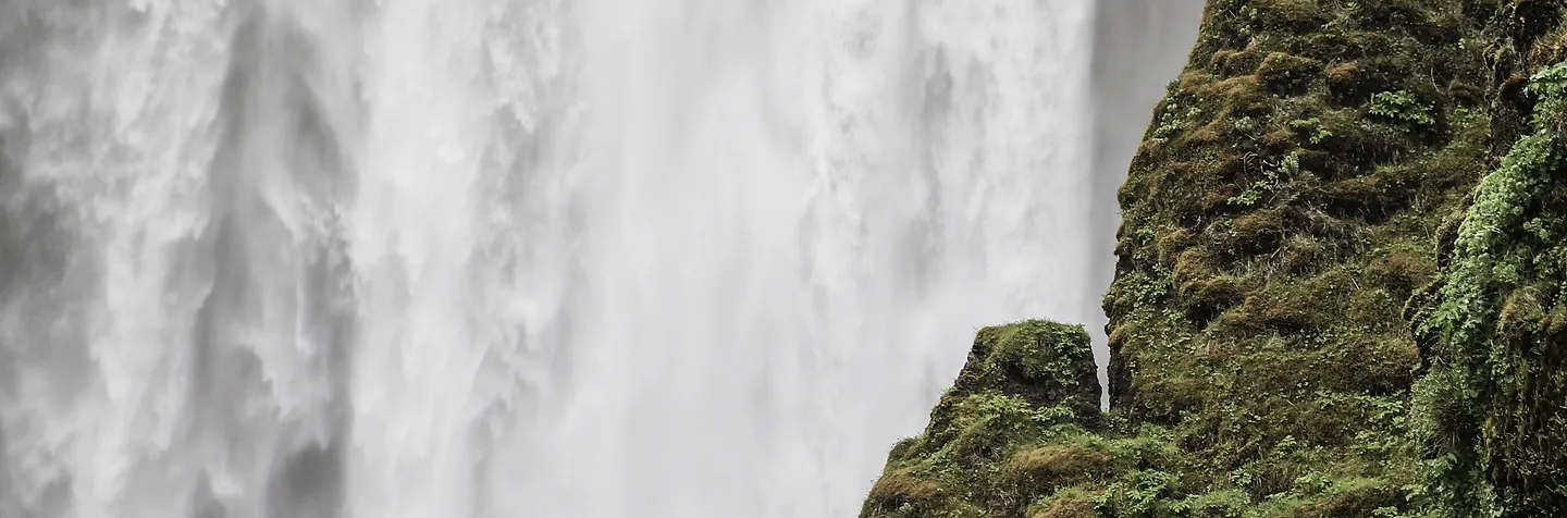 Þjónusta